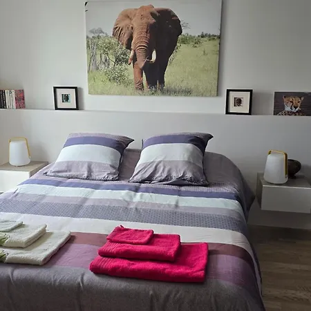 Vue Exeptionnelle Sur Apartment