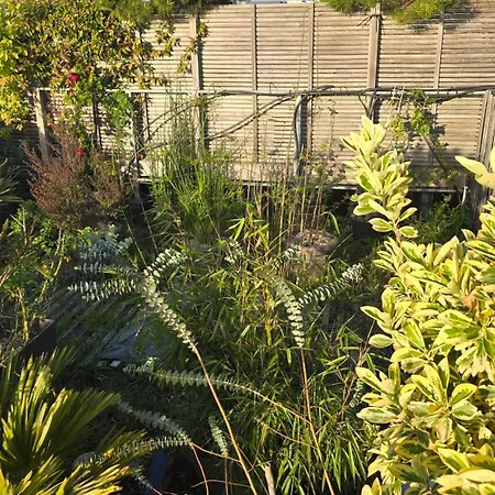 Vue Exeptionnelle Sur 南特