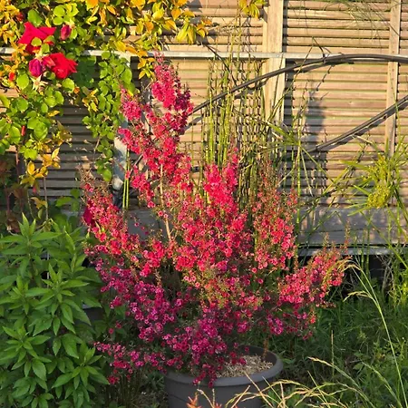 公寓 Vue Exeptionnelle Sur 南特