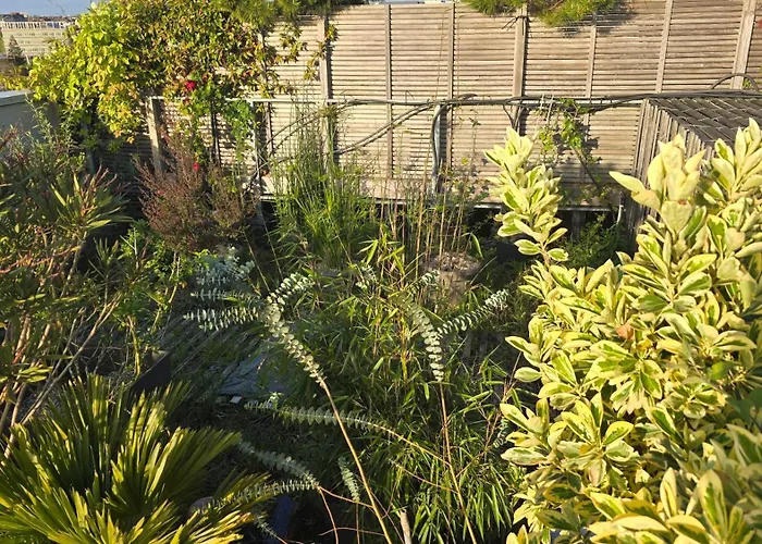 Vue Exeptionnelle Sur 南特