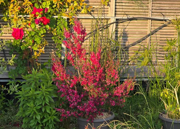 Apartamento Vue Exeptionnelle Sur Nantes